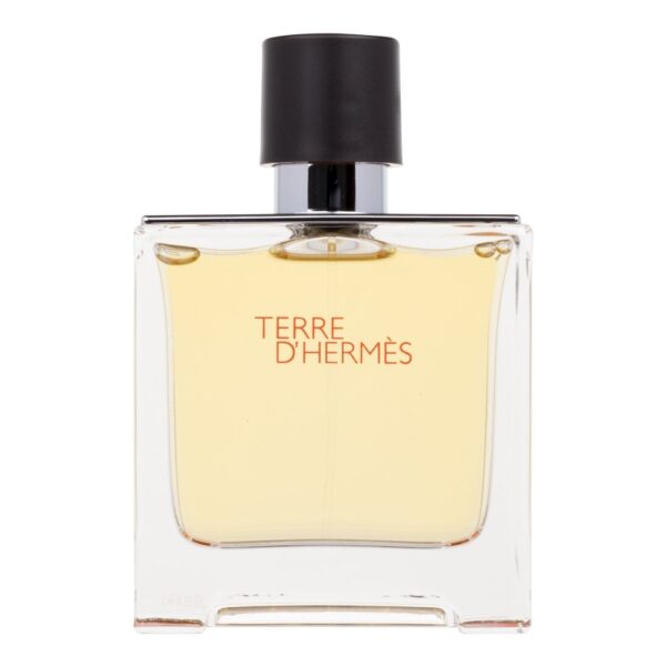Hermes Terre d´Hermes (Parfüüm, meestele, 75ml)